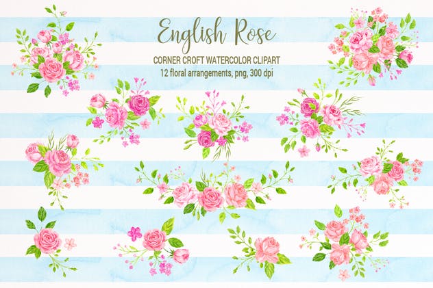 英国玫瑰水彩剪贴画素材 Watercolor Clipart English Rose插图2