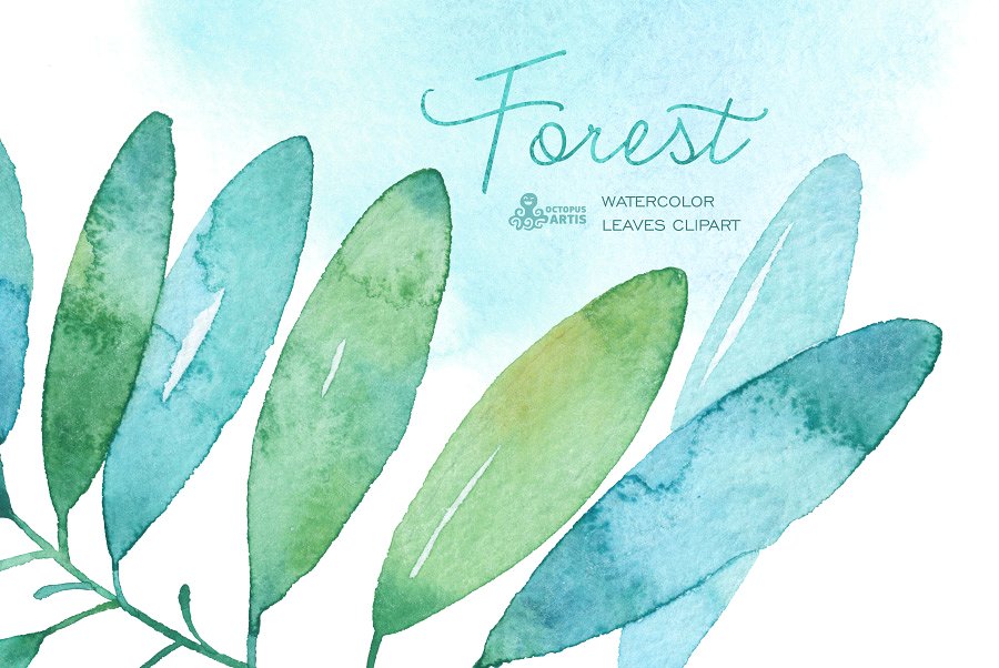 森林水彩树叶素材 Forest watercolor leaves插图(2)