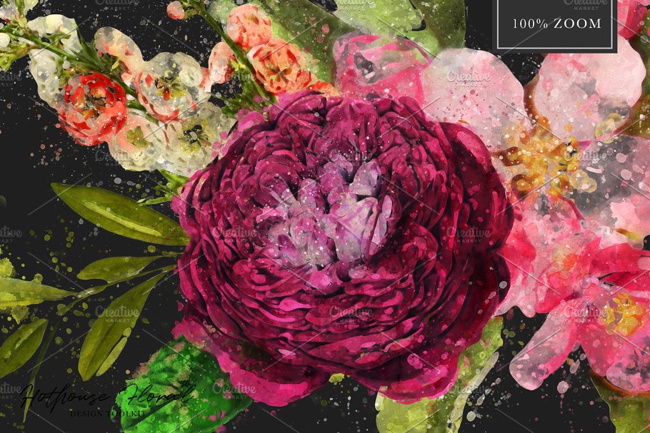 数码绘制温室花卉设计素材包（独立花卉元素&花式字母数字） Hothouse Floral Design ToolKit插图(18)