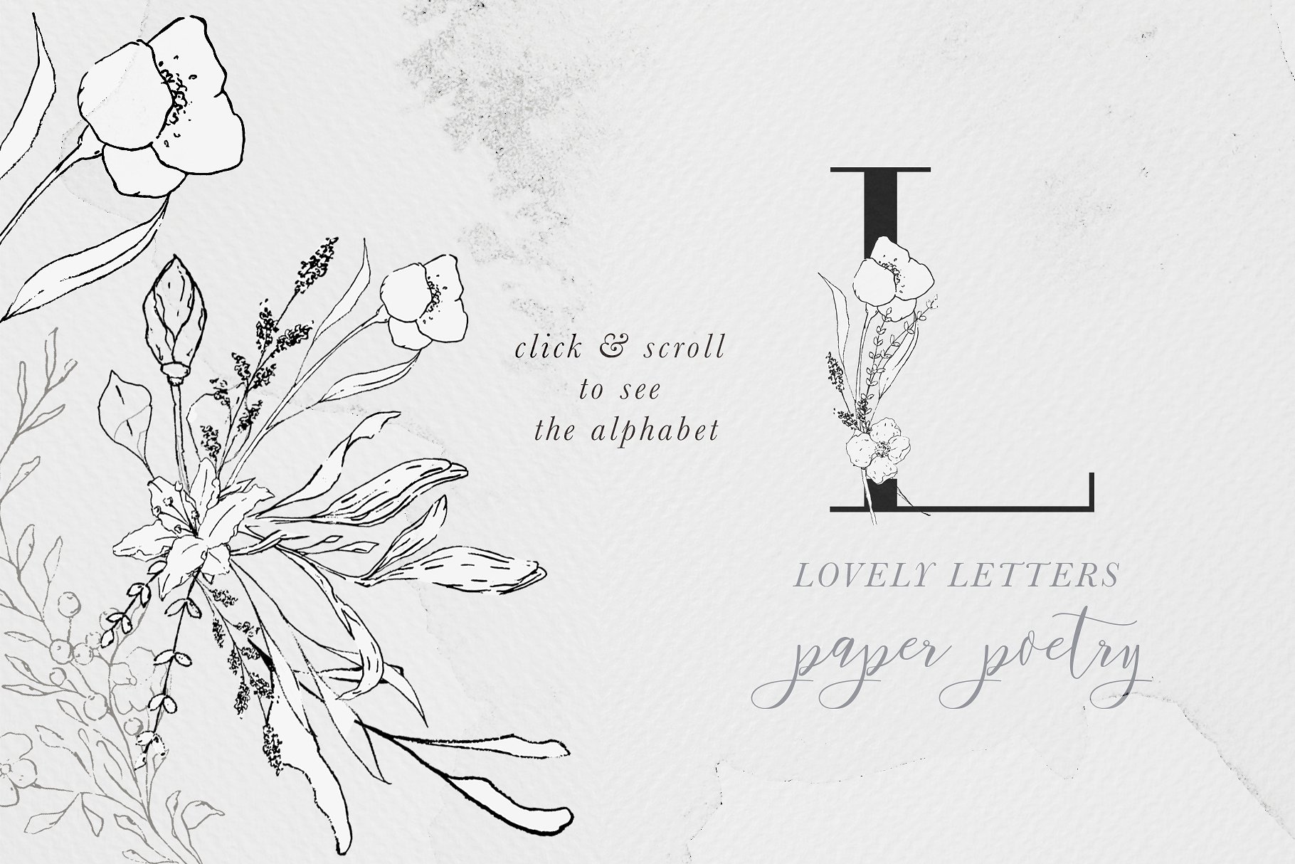 优雅风格手绘花卉插图&字母素材 Floral Alphabet & Illustrations插图(2)