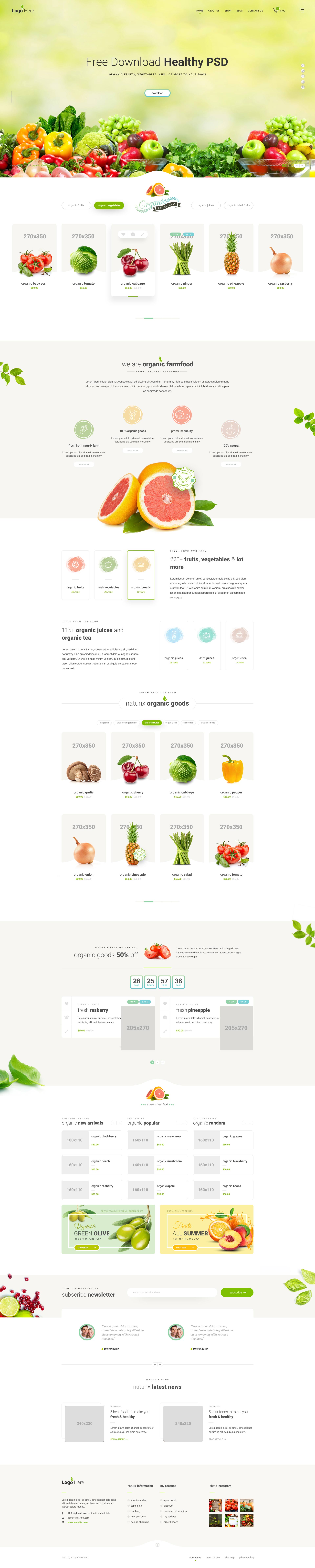 一个优雅的健康食品网站模板 Healthy Food Website Template插图