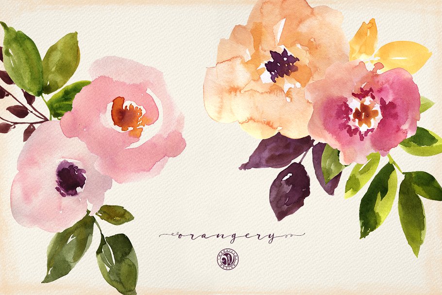 橘园水彩花卉剪贴画 Orangery Watercolor Flowers插图1