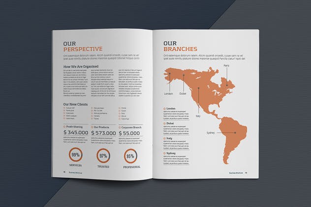 12页简单易用企业画册设计INDD设计模板 Business Brochure Template插图8