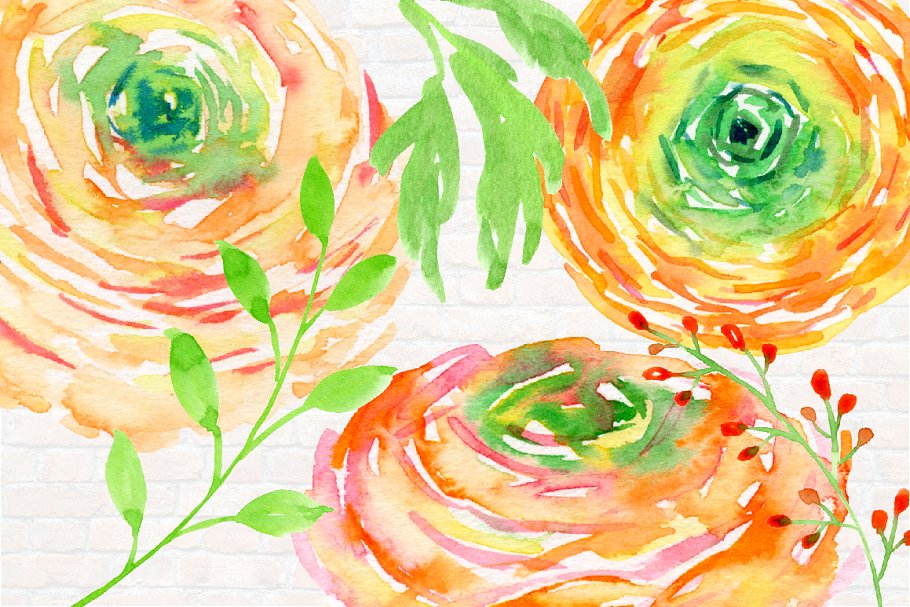 橙色水彩毛茛花卉剪贴画素材集 Watercolor Clipart Orange Ranunculus插图3