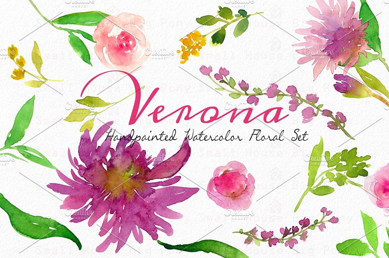 维罗纳-水彩花卉套装 Verona – Watercolor Floral Set插图6