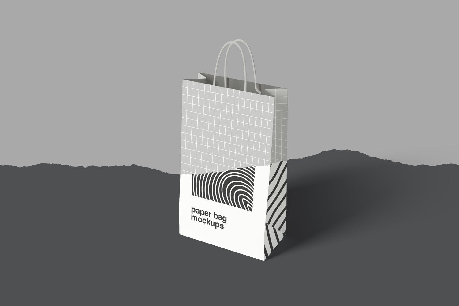 精品购物纸袋设计效果图样机 Paper Bag Mockups插图(3)