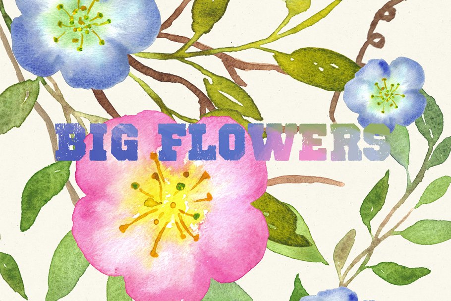 水彩手绘花卉艺术剪贴画设计素材 Big Flowers watercolor clipart插图(1)