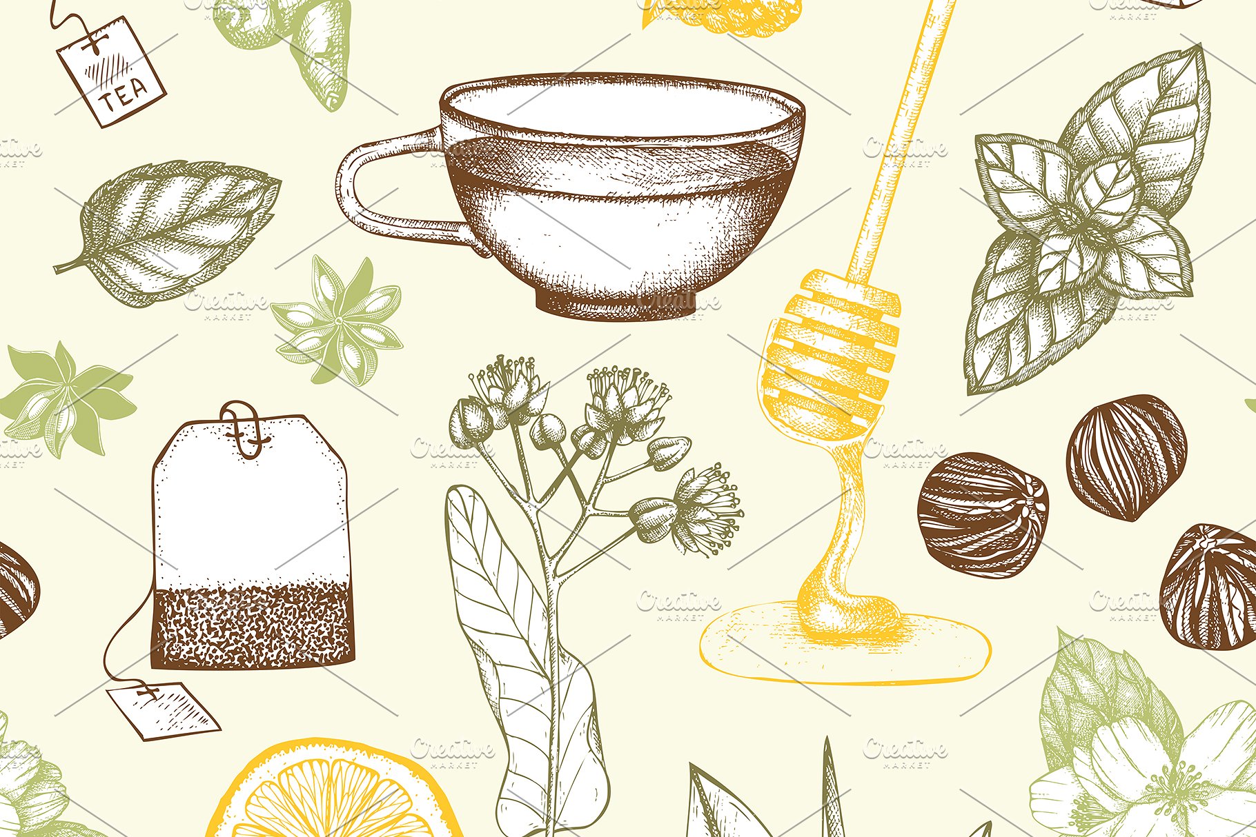 老式凉茶草药成分矢量插图合集 Vector Herbal Tea Ingredients Set插图(3)