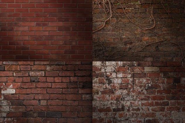 20款砖墙纹理背景 Brick Wall Textures / Backgrounds插图2