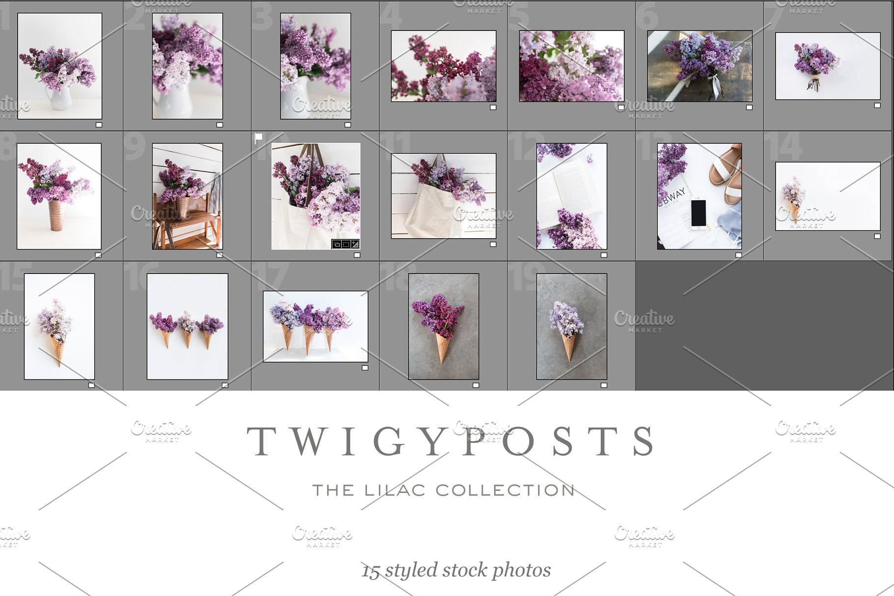 春天丁香花场景样机 Spring Lilac Stock Photos插图(9)