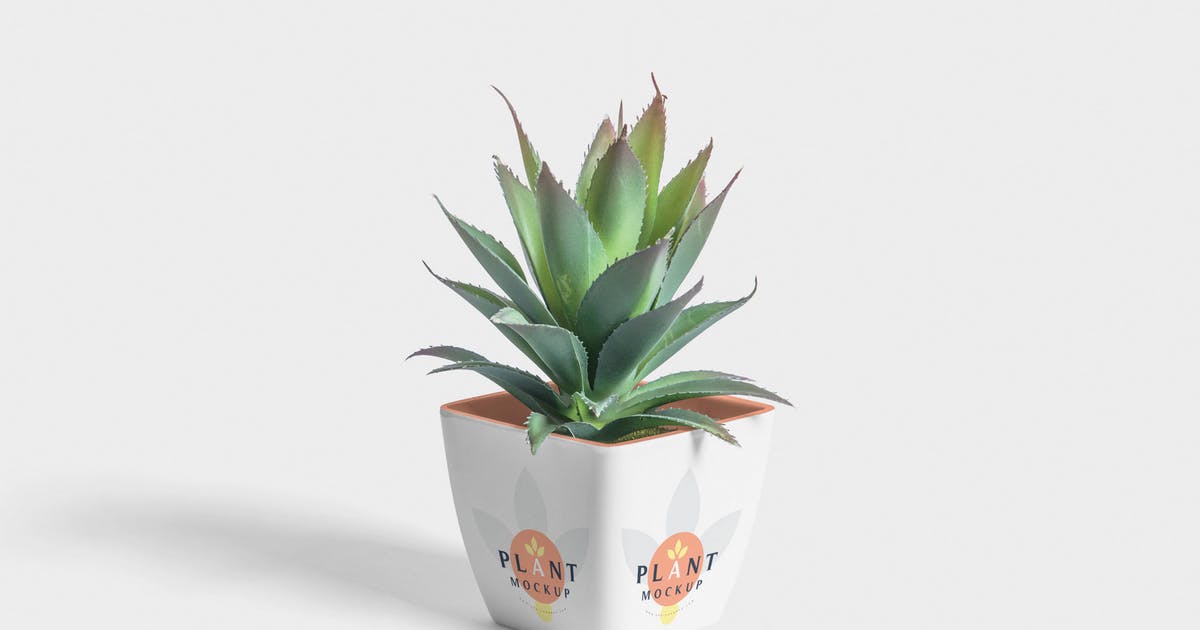花盆外观图案设计样机模板 Flower Pot Mockup插图
