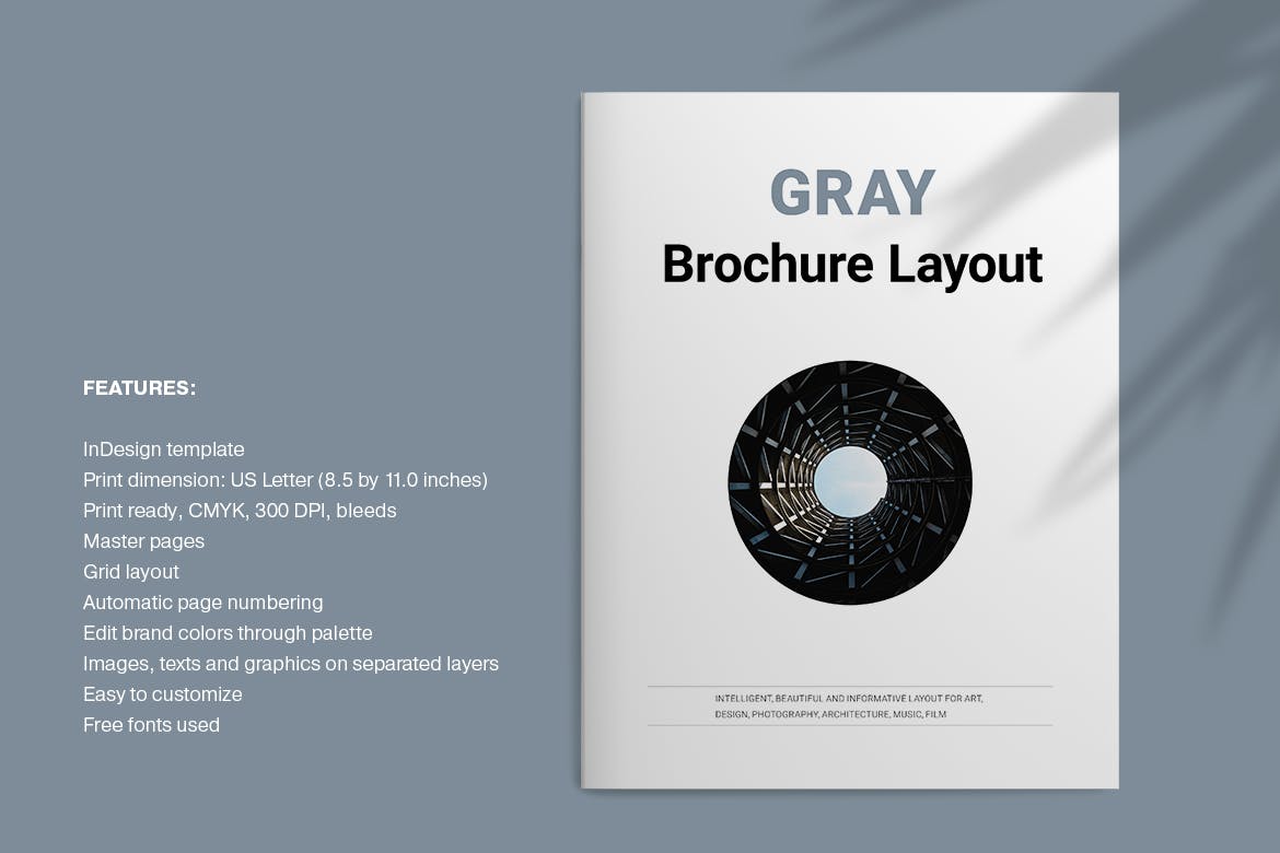 时尚/设计/艺术/摄影多用途画册设计模板 Gray Brochure插图(1)