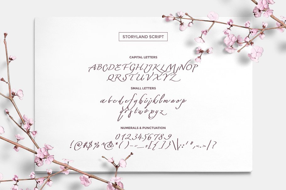 手绘字体+元素+Logo模板设计工具包 Storyland Font & Toolkit插图(2)