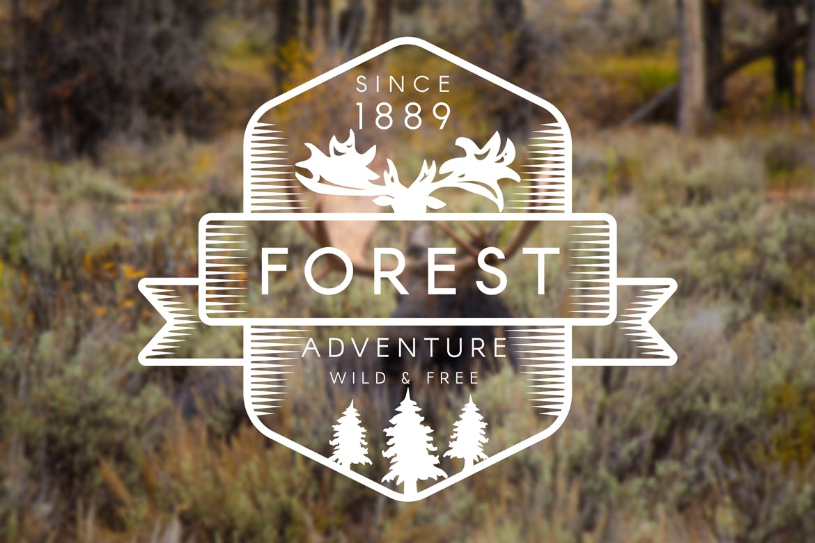 复古森林驼鹿徽章设计模板 Vintage Forest Moose Badge插图(1)