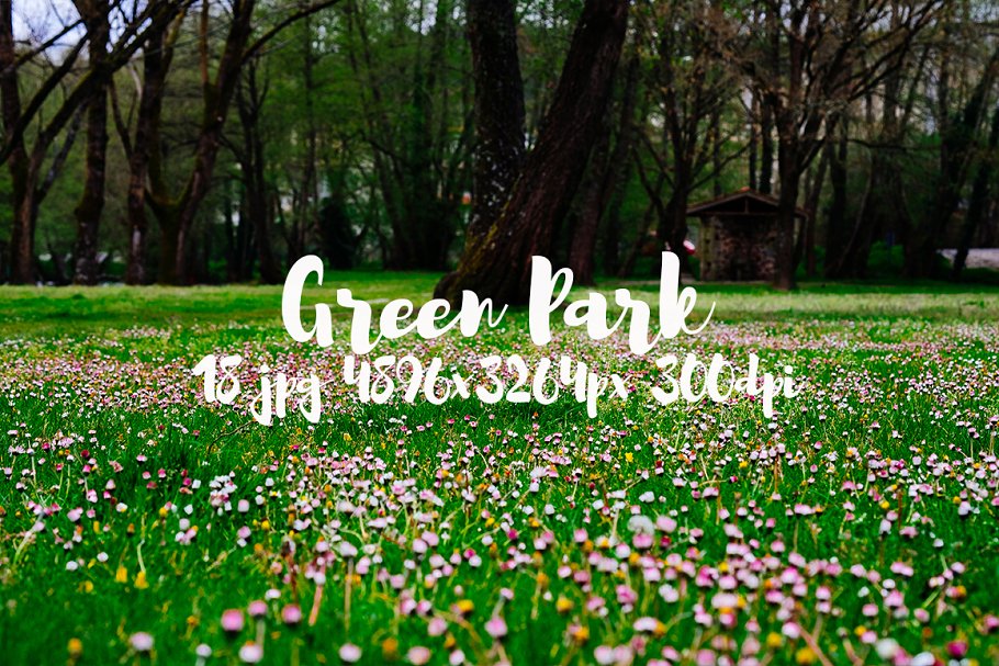 生机勃勃的公园景象高清照片素材 Green Park bundle插图10