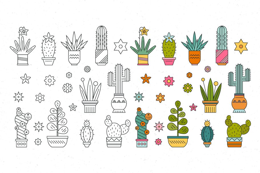 仙人掌多肉盆栽植物插画素材 Succulent Clipart & Patterns Bundle插图(1)