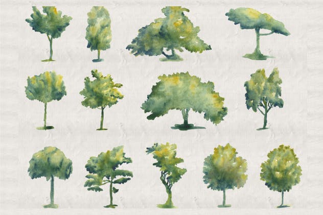 44款水彩手绘树木艺术插画 Collection of 44 Watercolor Trees插图3