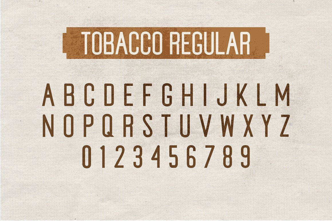 复古风格设计适用的英文无衬线字体 Tobacco Sans Serif Font插图6
