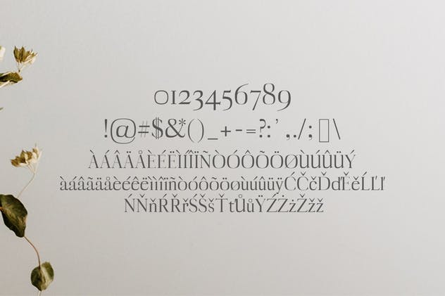 一套非常漂亮的现代英文衬线字体家族 Myron Serif Fonts Family Pack插图2