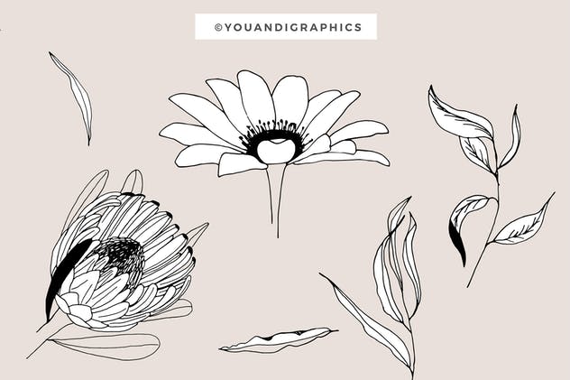 创意手绘花卉插画图案纹理素材 Graphic Flowers Patterns & Elements插图(10)