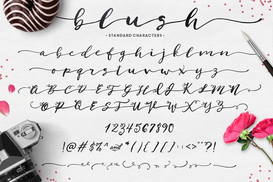 英文草书字体&手绘水彩纹理/Logo模板 Blush Typeface + Logo Kit (AI)插图4