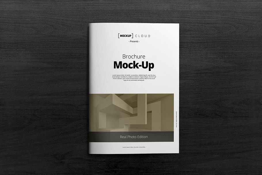 A4规格小册子说明书样机模板 Brochure Mock-Up / A4 Portrait插图(1)