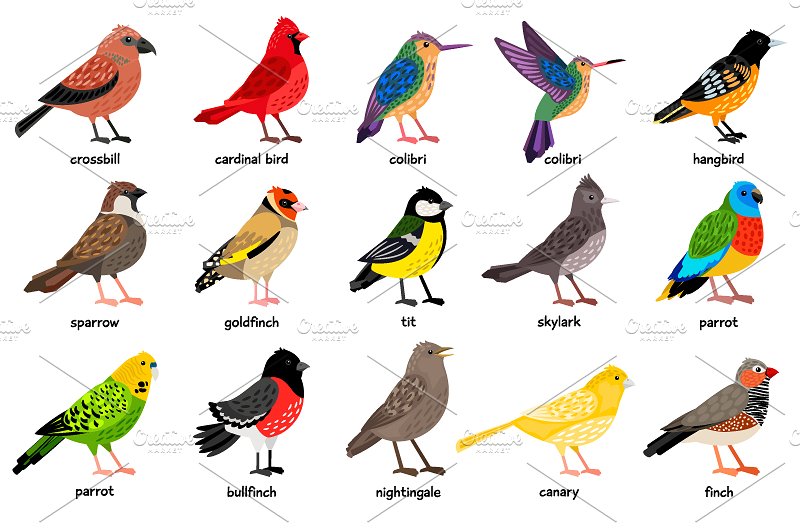 海量各种鸟手绘矢量素材 Big set of Different Birds插图(2)