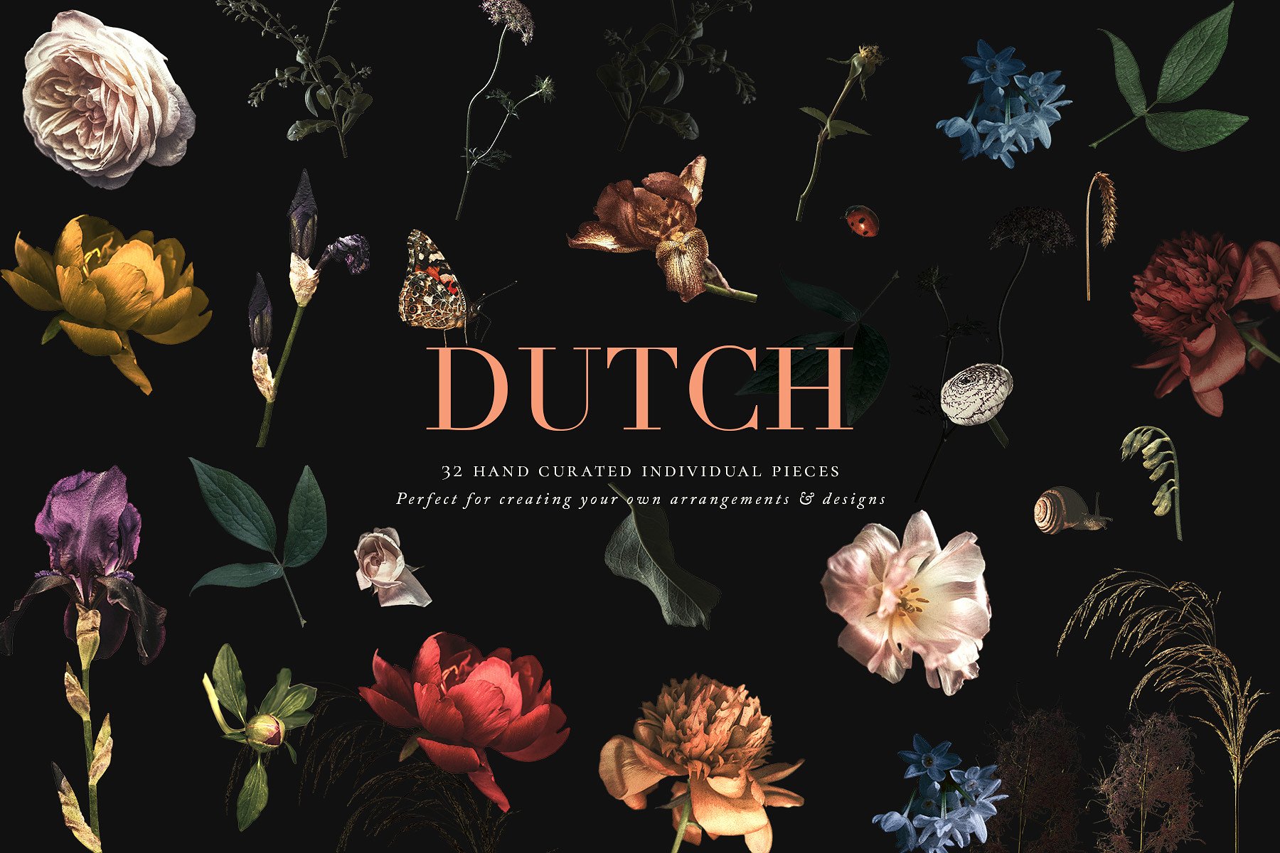 传统色彩荷兰花卉剪贴画 Vintage Floral Clip Art – Dutch插图(3)