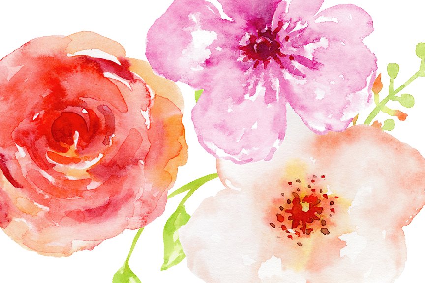 夏日鲜花，玫瑰，树叶和装饰元素水彩剪贴画 Watercolor Clipart Summery插图(2)