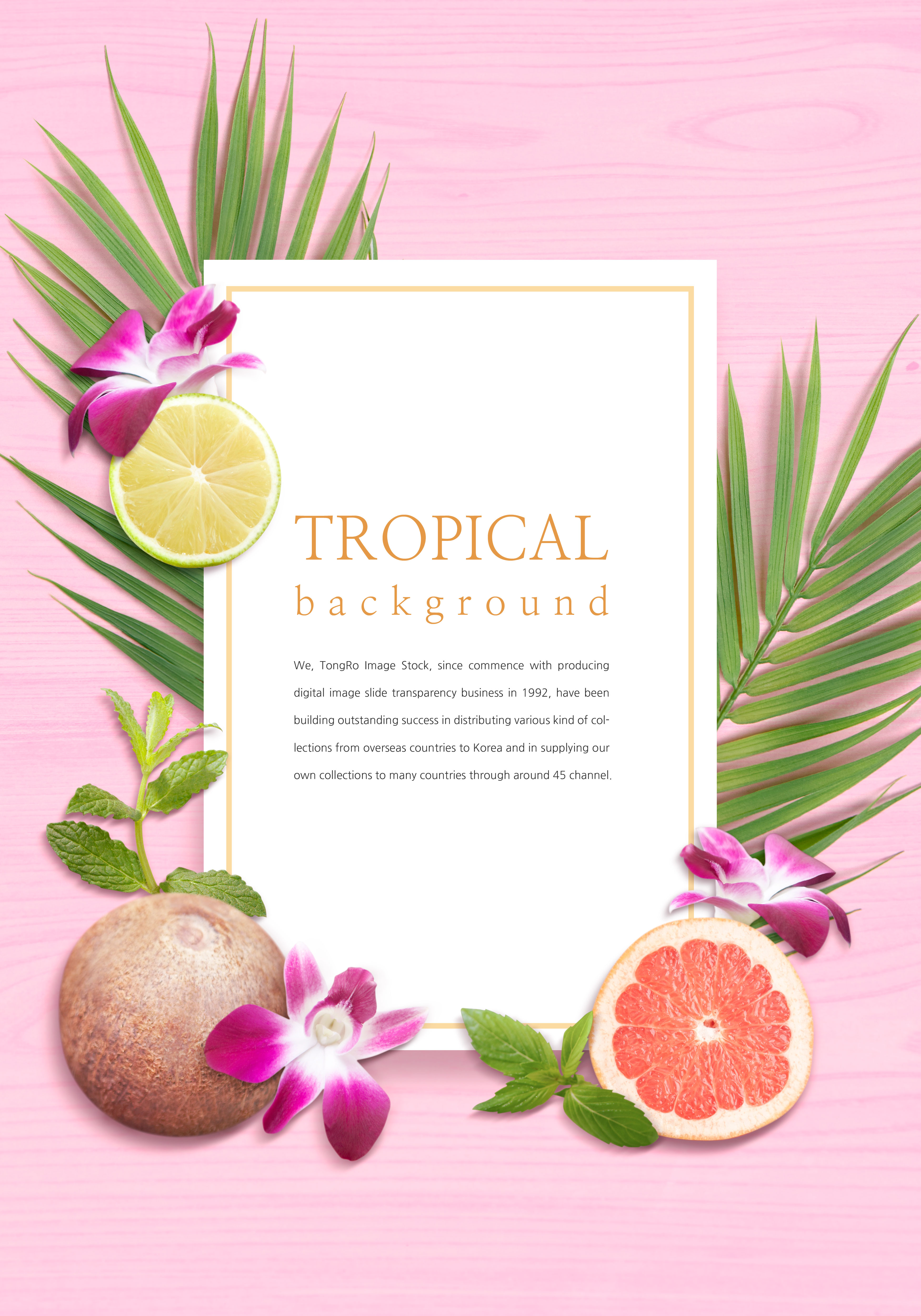 热带水果花卉主题背景图片设计素材插图