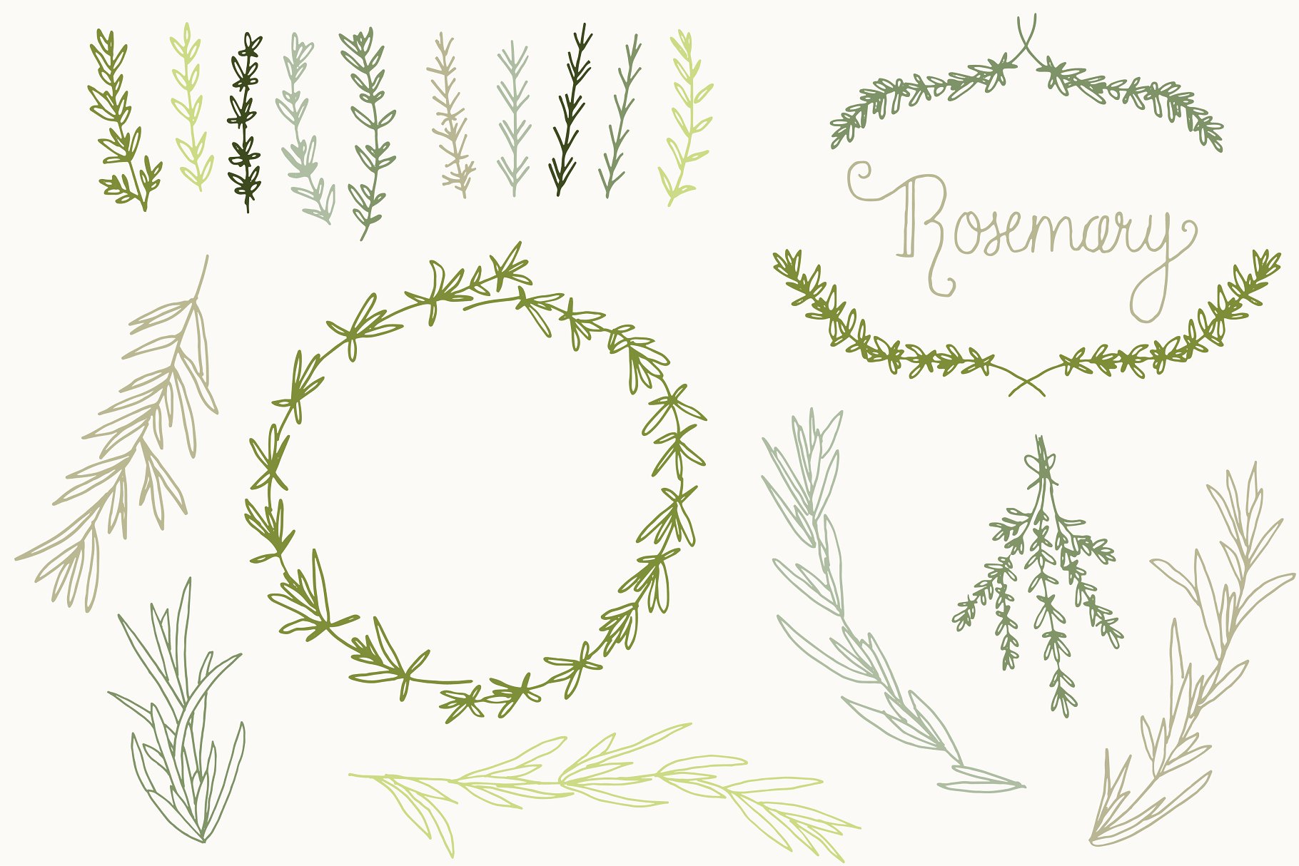 婚礼请柬迷迭香手绘剪贴画及矢量图  Rosemary Clip Art & Vectors插图(2)