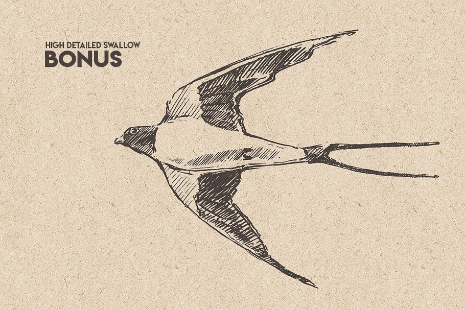 鸟群素描设计素材 Flocks of birds, sketch style插图7
