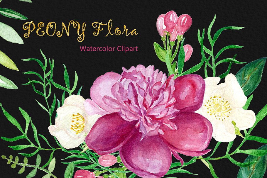 牡丹花丛水彩花卉剪贴画 Peony flora watercolor flowers插图(6)