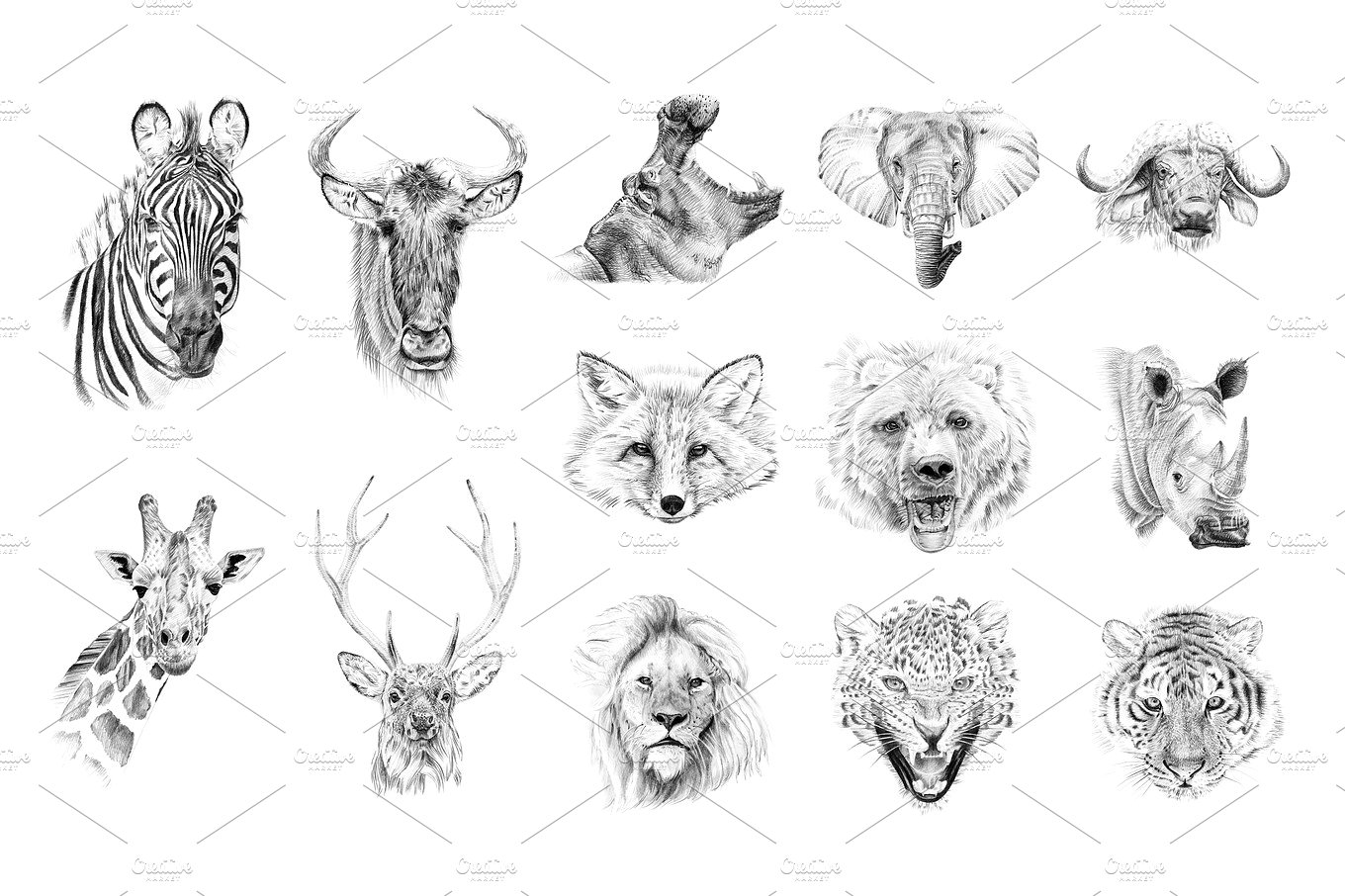 野生动物肖像手绘剪影 Portrait of wild animaldrawn by hand插图