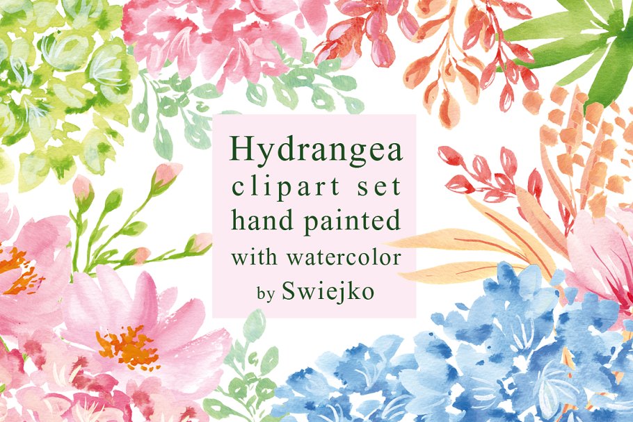 八仙花绣球花剪贴画 Hydrangea clipart set插图