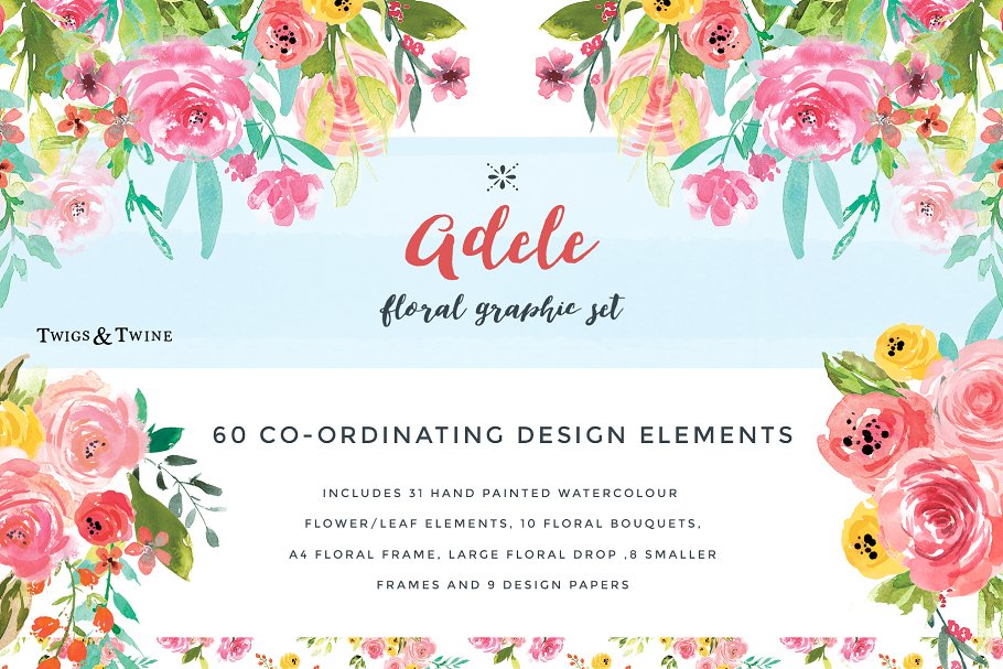 水彩花卉插画图集 Watercolor Flower Graphic Set- Adele插图