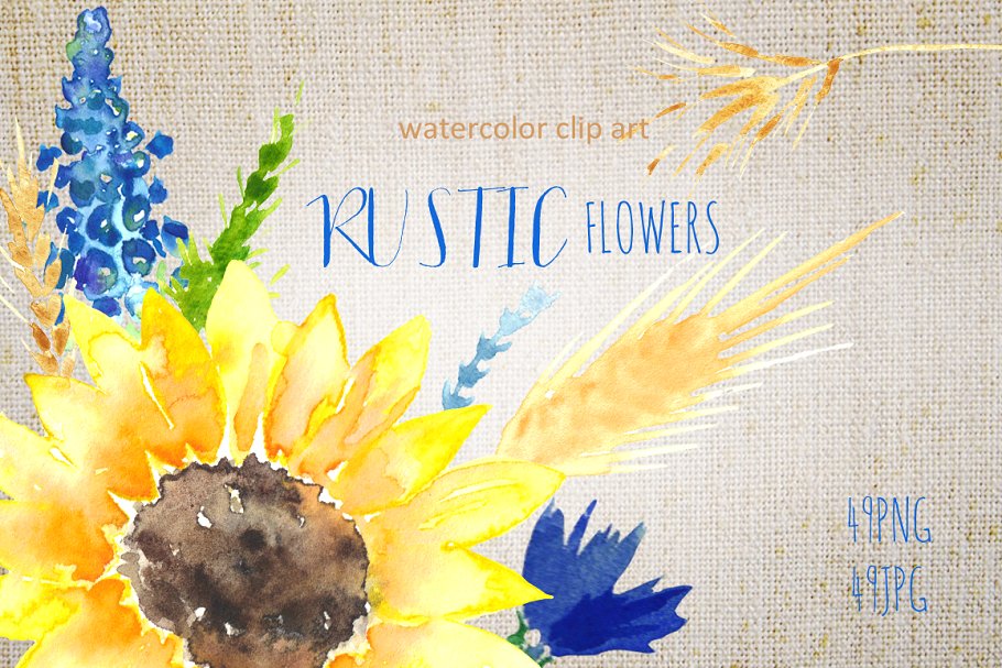 美丽手绘水彩田野草本植物插画 Sunflowers rustic watercolor clipart插图