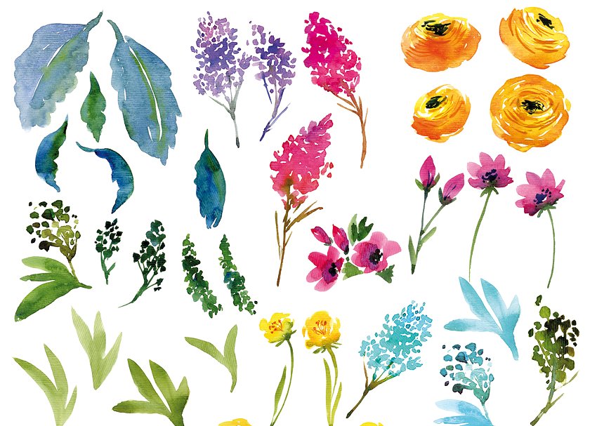城市花园水彩花卉剪贴画 Watercolor Country Flowers插图1