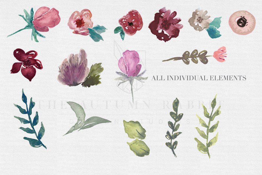 手绘水彩花卉＆树叶图案 Floral Watercolor Clipart Set插图1