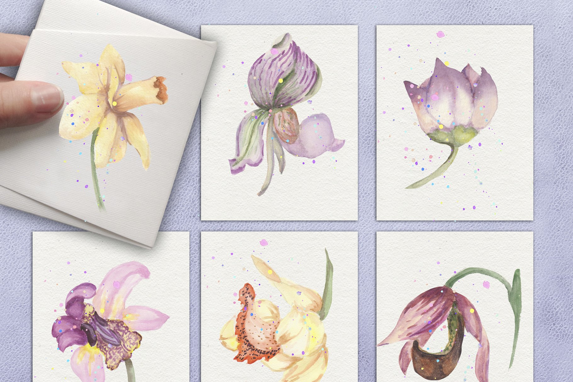 紫罗兰色水彩花卉插画素材 Violaceous watercolors插图(4)
