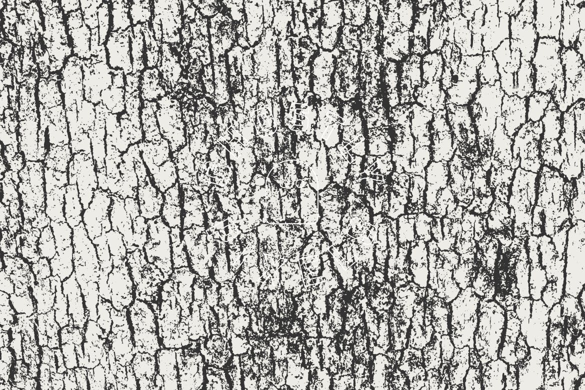 5款逼真树皮纹理肌理矢量背景素材 Tree Bark Textures插图5