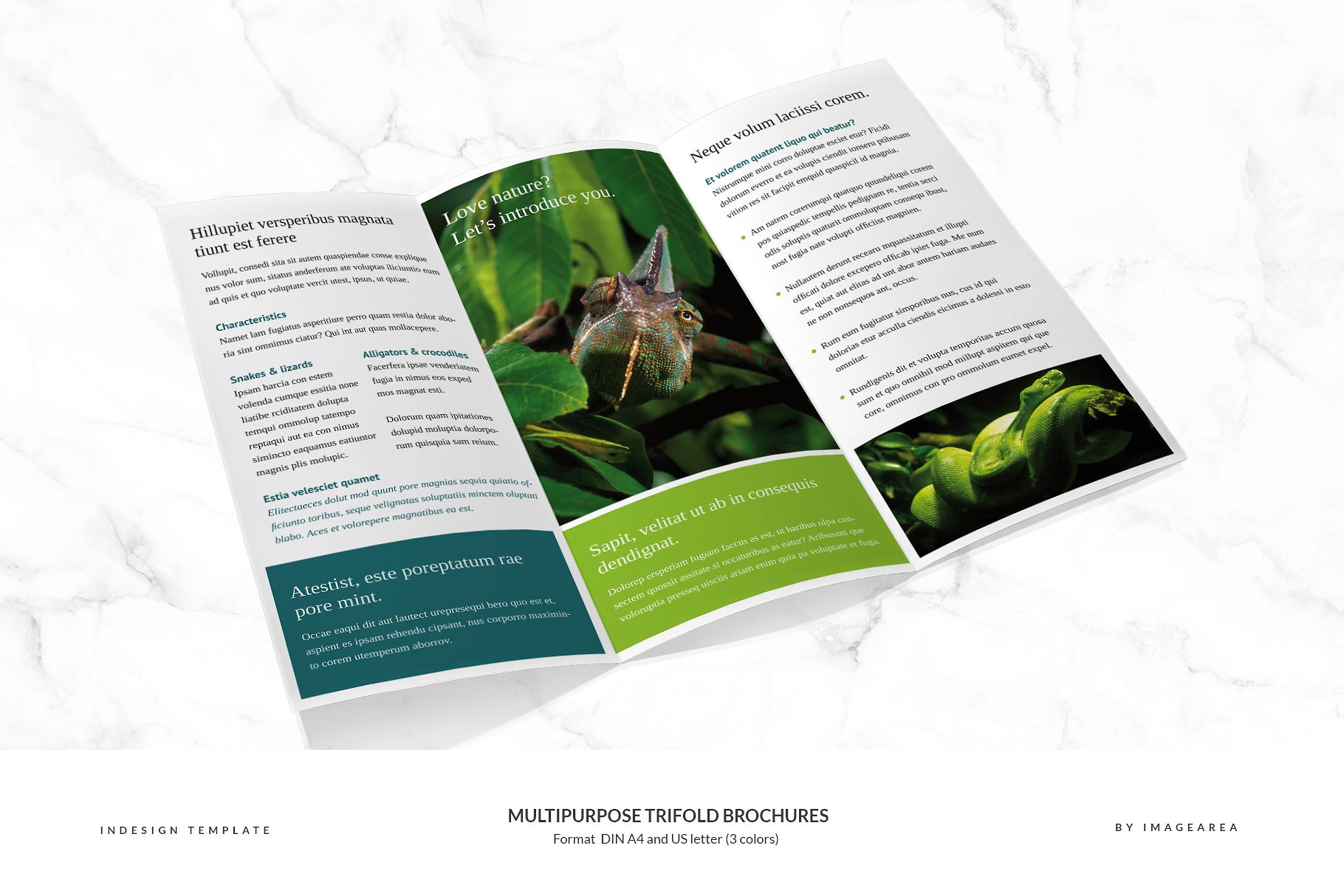 企业商业多用途折页小册子模板 Multipurpose Trifold Brochures插图(2)