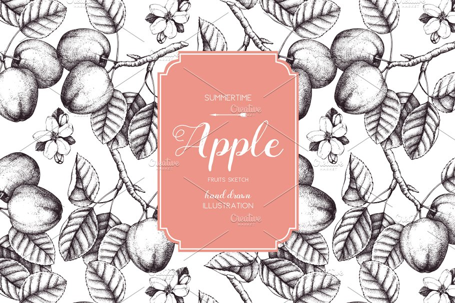 复古手绘苹果树矢量剪贴画 Vector Apple Trees Illustrations插图