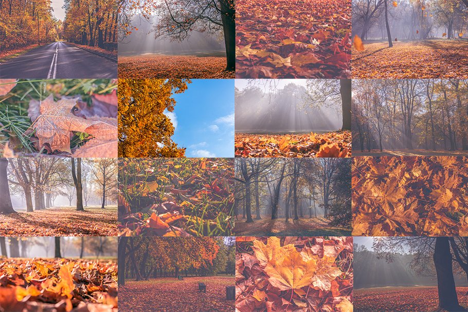 秋天主题高清照片素材 Autumn Photo Pack插图4