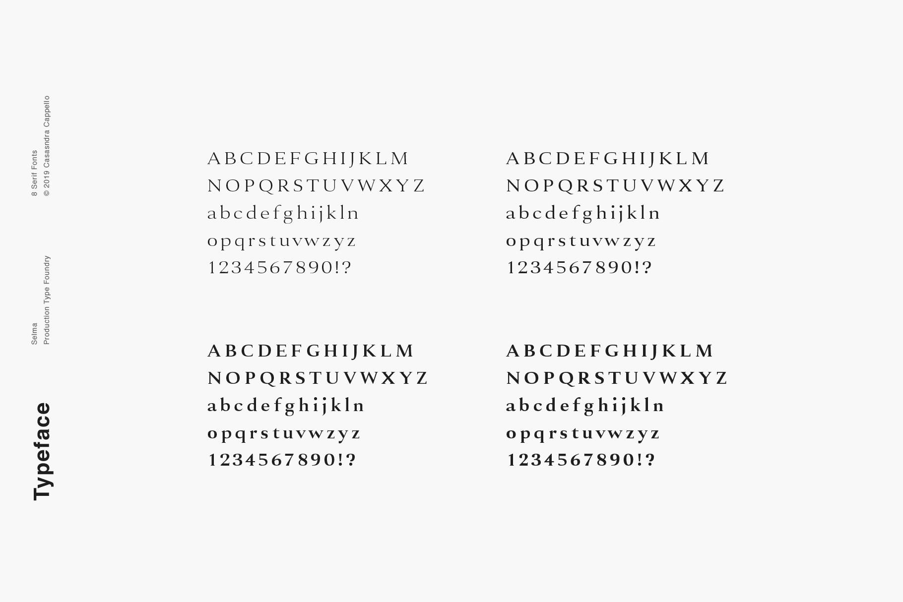 现代优雅英文衬线字体下载 Selma – A Classy Serif Typeface插图(4)