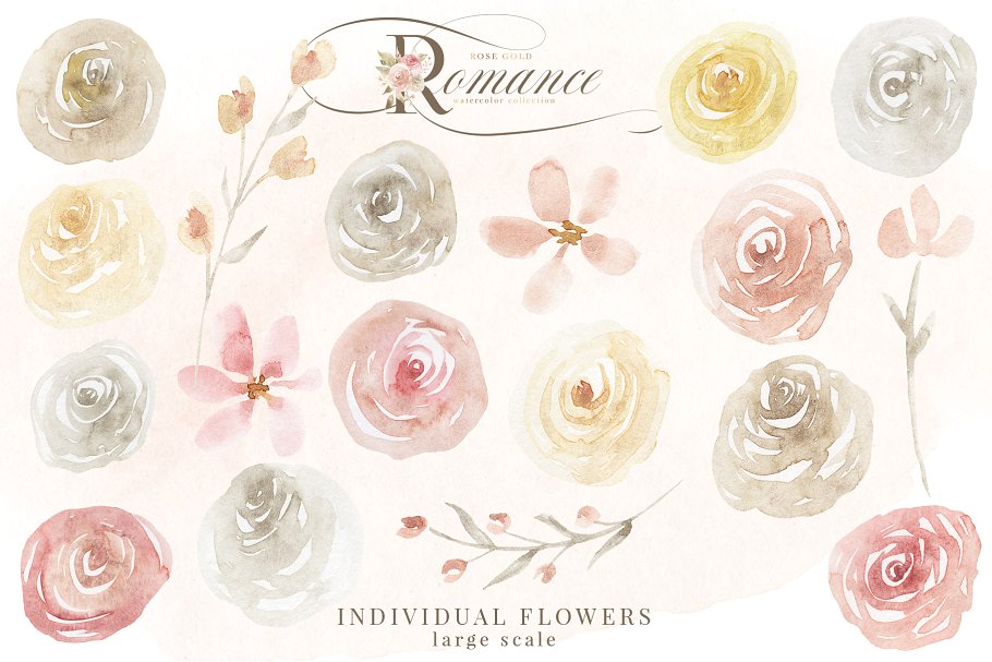 玫瑰金浪漫水彩花卉剪贴画 Rose Gold Romance Watercolor Flowers插图(8)