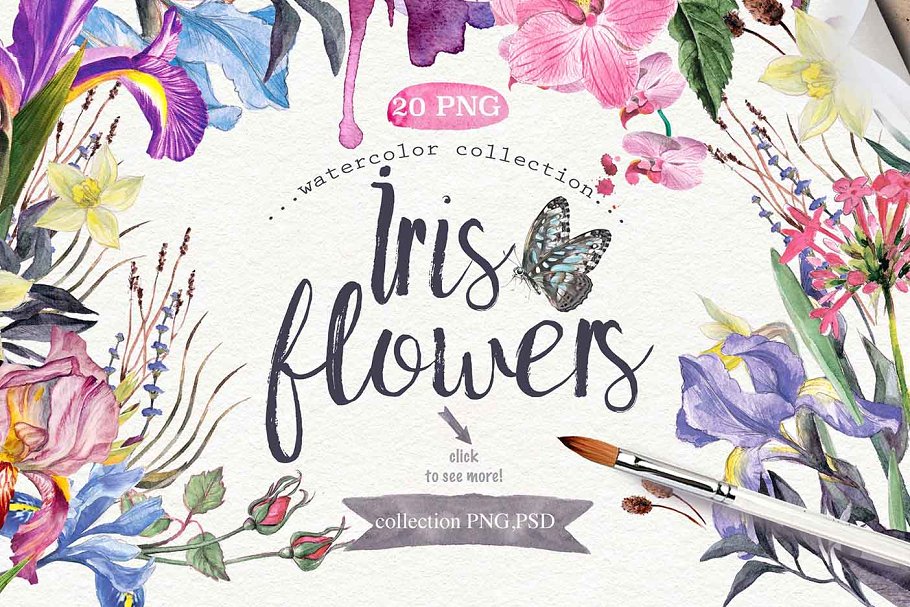 DIY水彩鸢尾花卉插画v1 Watercolor DIY "IRIS" vol.1插图1 DIY水彩鸢尾花卉插画v1 Watercolor DIY "IRIS" vol.1插图1