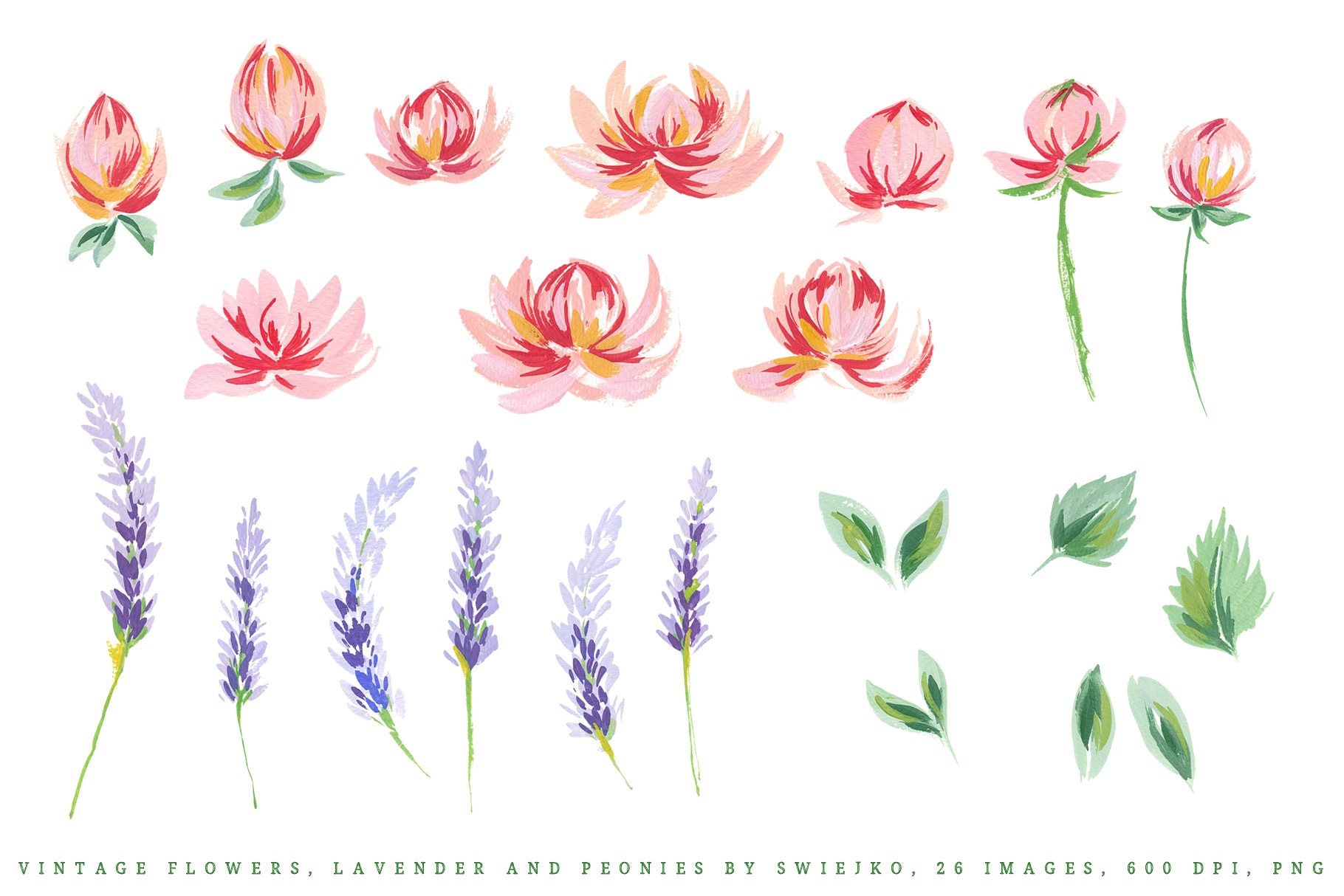 古典手绘牡丹薰衣草插画素材 Lavender & Peonies, vintage flowers插图(1)