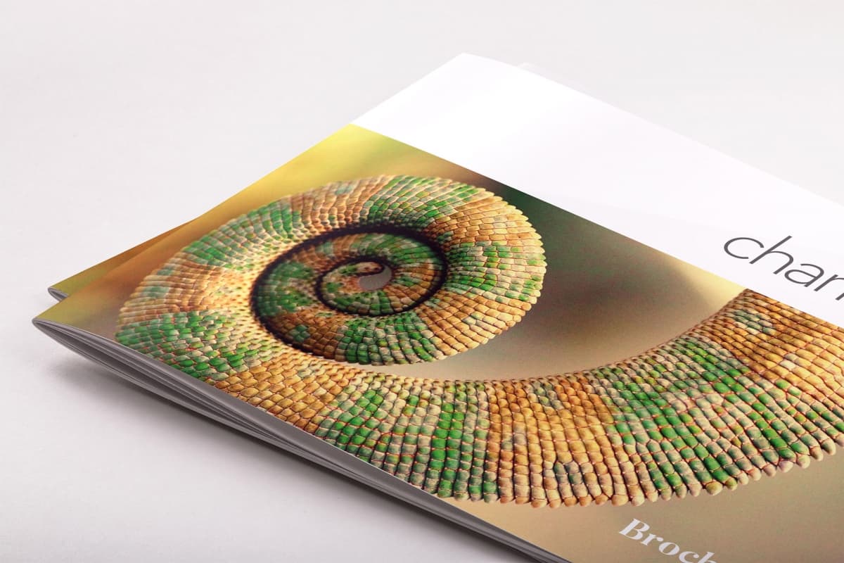 宣传小册子排版设计模板 Chameleon Free InDesign Brochure Template插图
