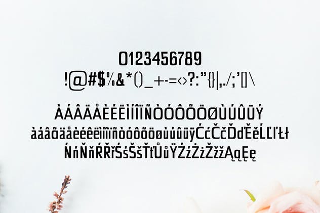 极简现代设计风格的无衬线字体套装 Chrys Sans Serif Font Family Pack插图3
